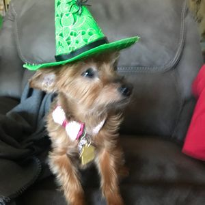 Meet your Posher, Doug